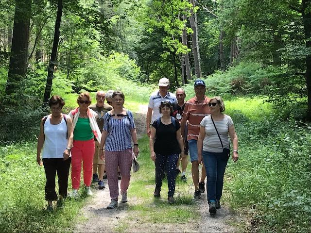 Marche hebdomadaire - Thiers sur Thève juin 2025